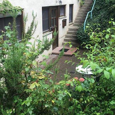 Gartenwohnung Gundelfingen  Exterior foto